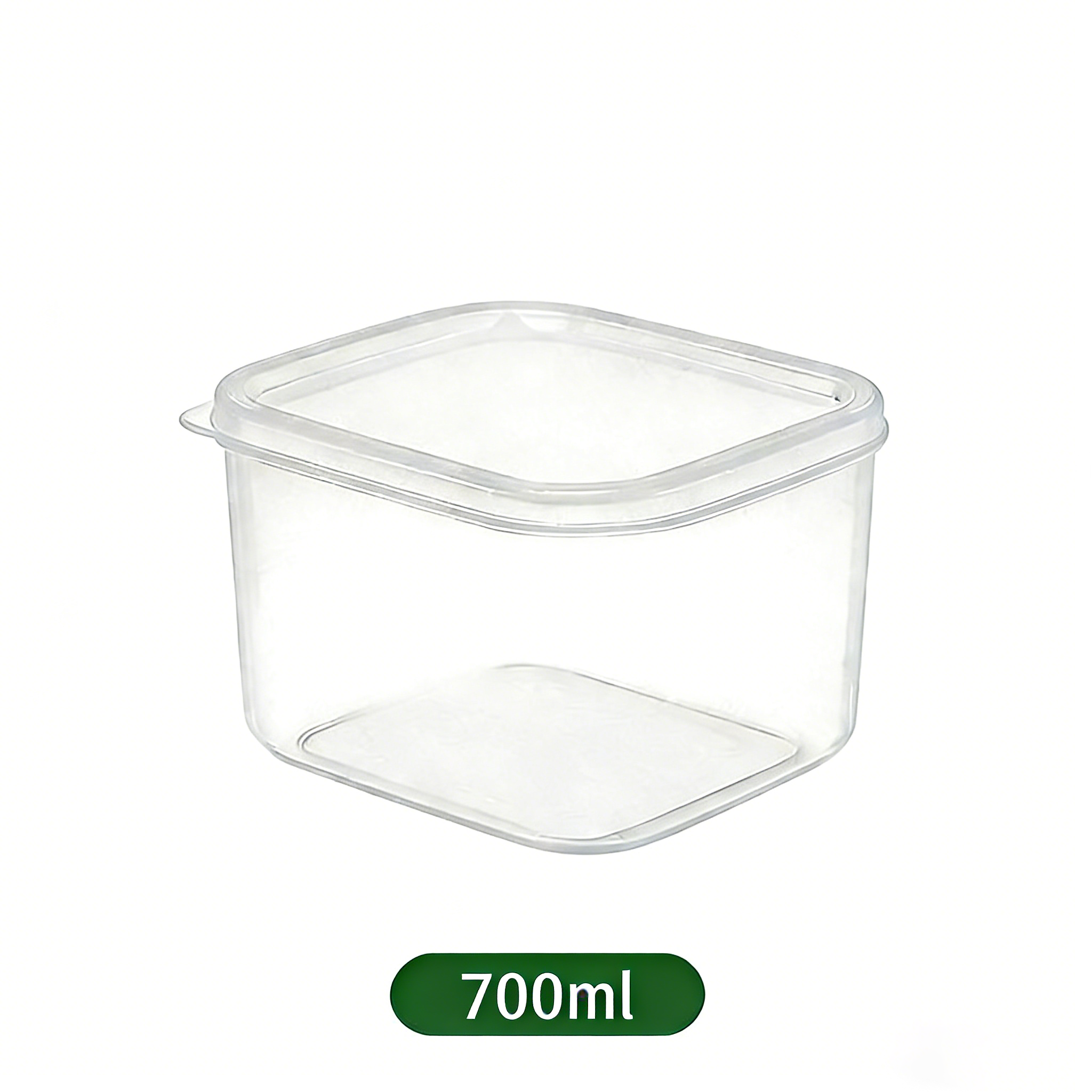 Food-Grade Freezer Storage Boxes | Divided, Airtight & Antibacterial